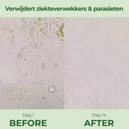 OREGANIQ® Oregano-olie softgels tegen ontstekingen